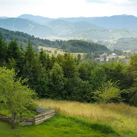 Poli Baneta Ravna Gora